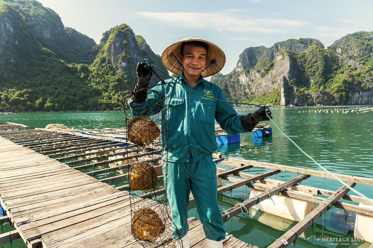 Heritage Line Violet Cruise - Halong Bay & Lan Ha Bay Χα Λονγκ Εξωτερικό φωτογραφία